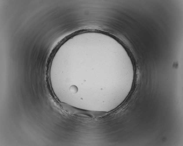 X0000114391020200911131338