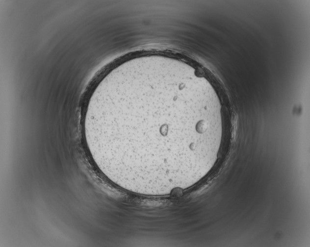 X0000114391021200911131338