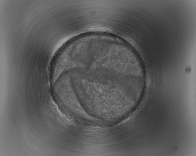 X0000114391022200911131338