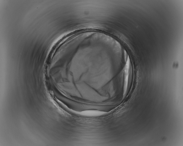 X0000114391024200911131338