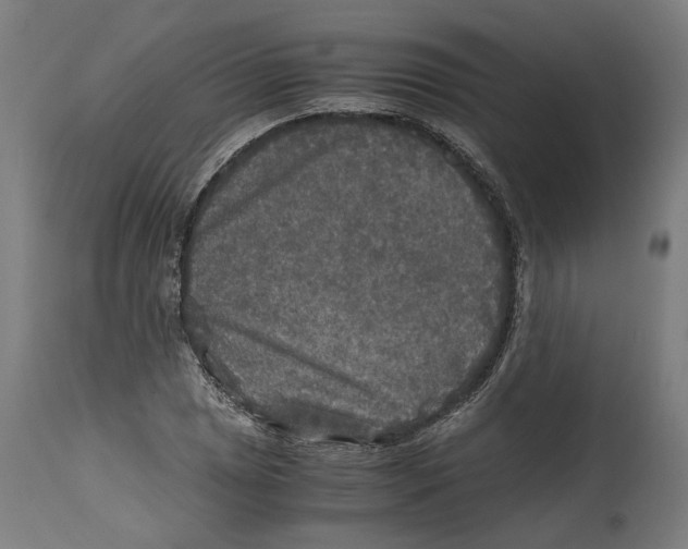 X0000114391025200911131338