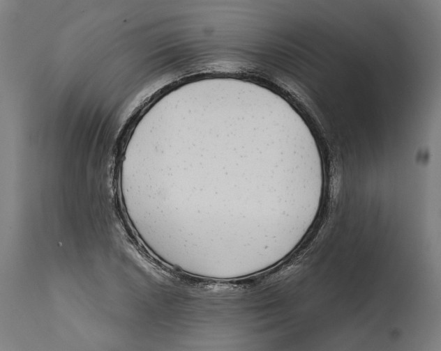 X0000114391026200911131338