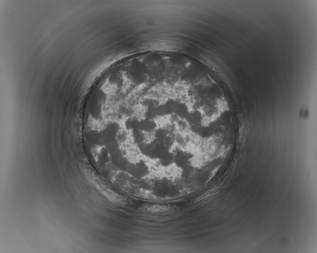 X0000114391027200911131338