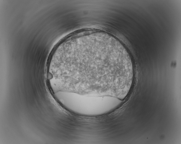 X0000114391028200911131338