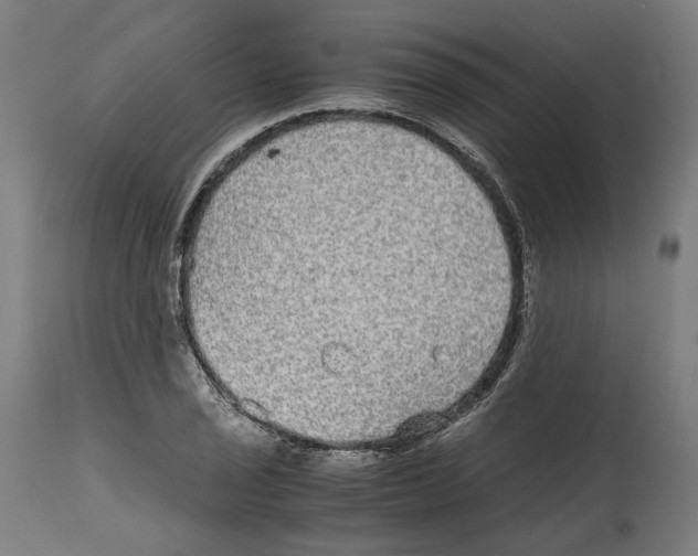 X0000114391029200911131338