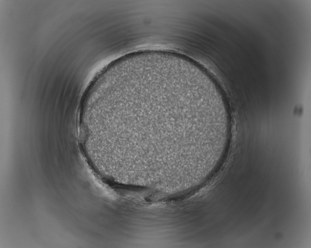 X0000114391030200911131338