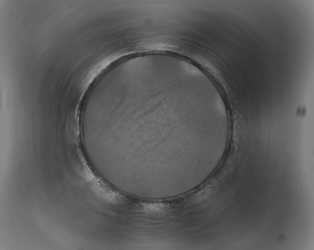 X0000114391031200911131338