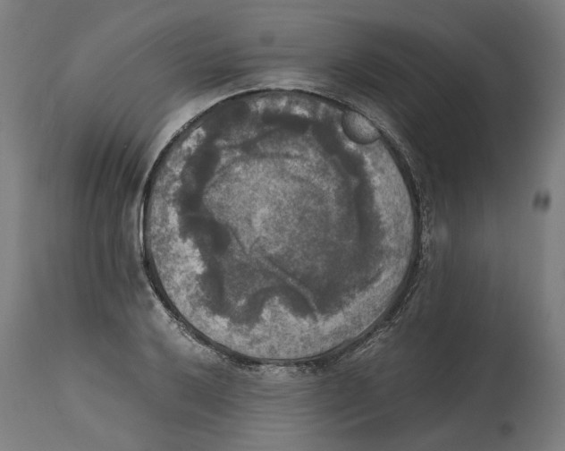 X0000114391032200911131338