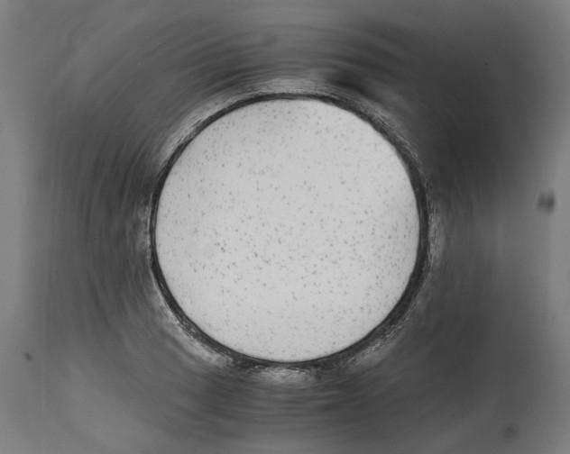 X0000114391033200911131338