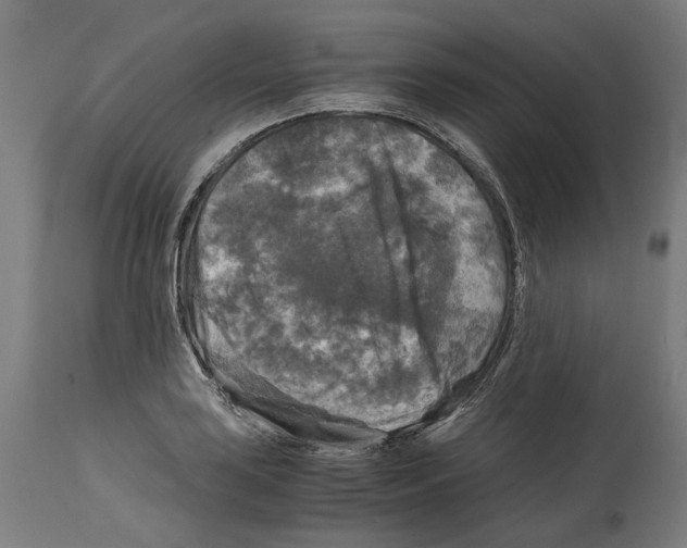 X0000114391035200911131338