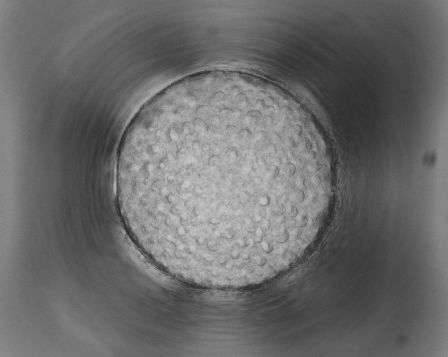 X0000114391036200911131338