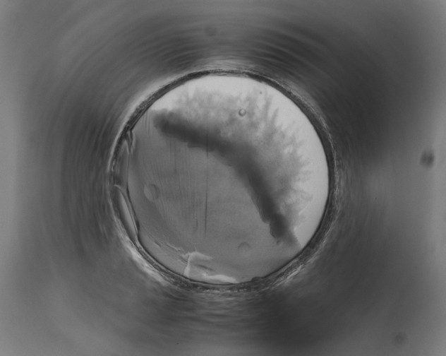 X0000114391037200911131338