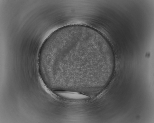 X0000114391038200911131338