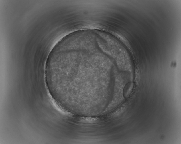 X0000114391039200911131338