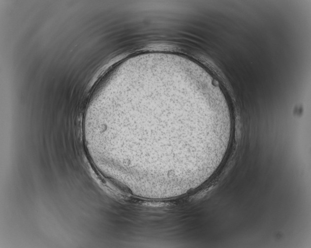 X0000114391041200911131338