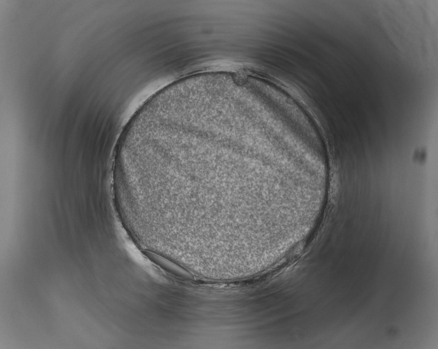 X0000114391042200911131338