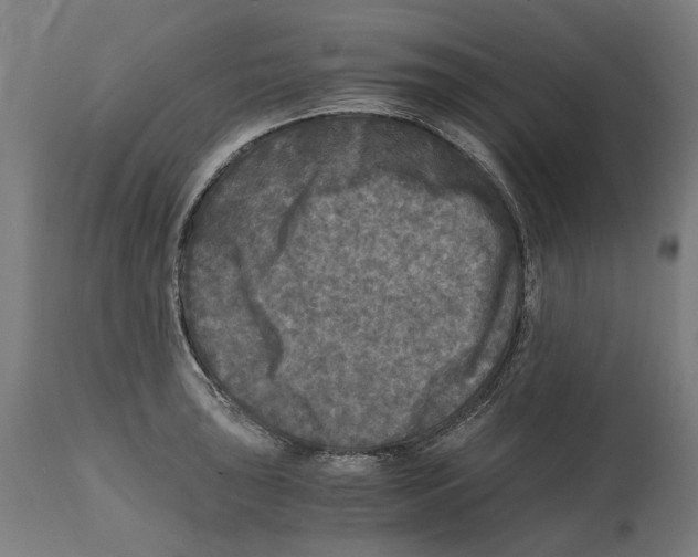 X0000114391043200911131338