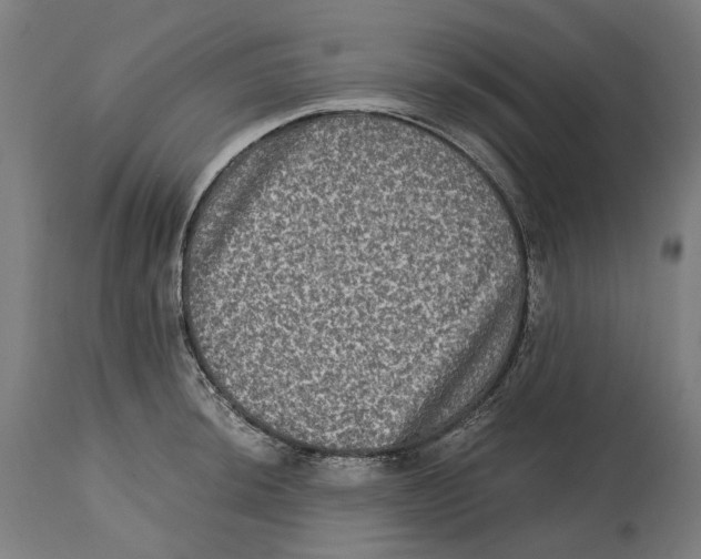 X0000114391044200911131338