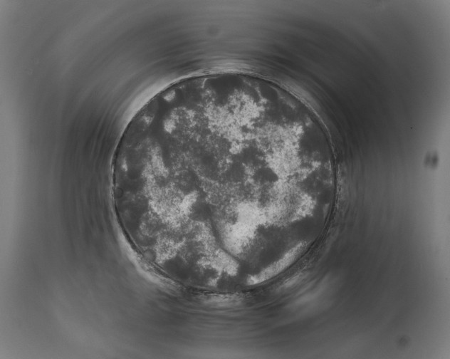 X0000114391047200911131338