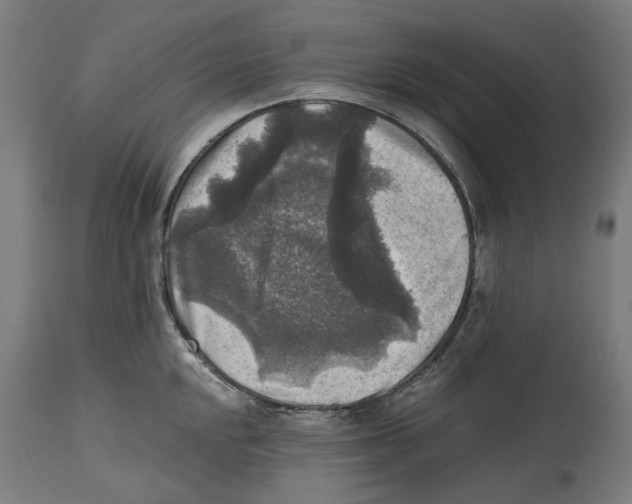 X0000114391048200911131338