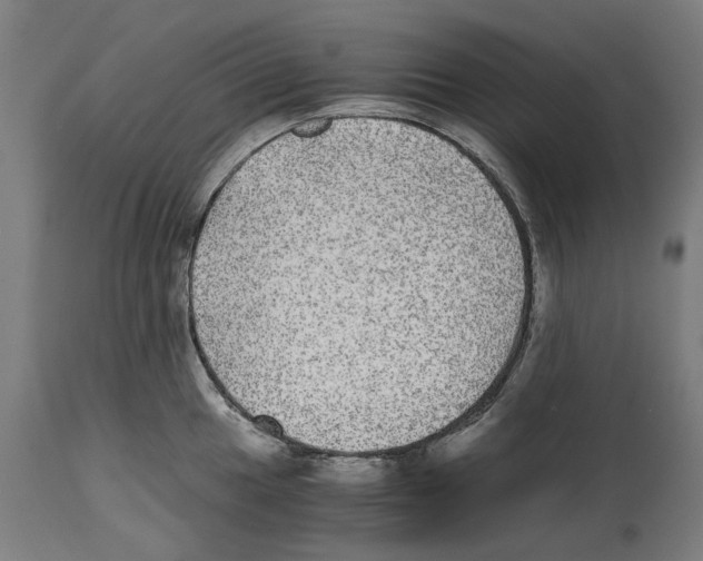 X0000114391049200911131338