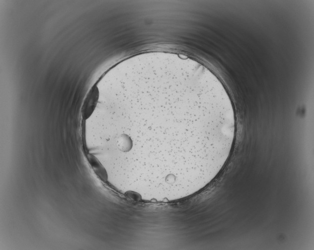 X0000114391050200911131338