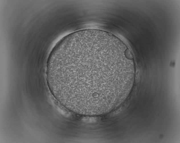 X0000114391051200911131338