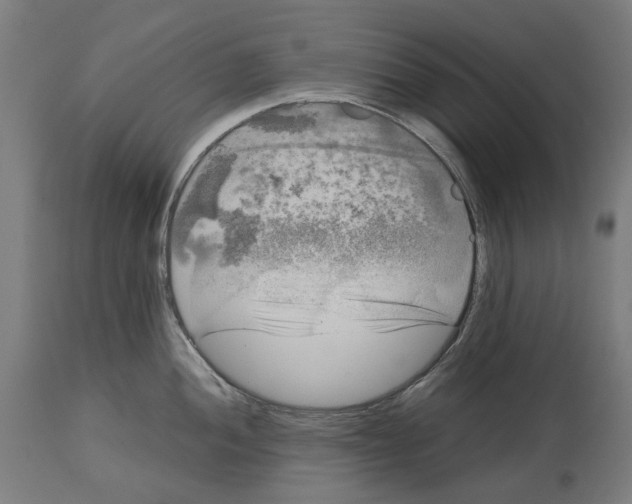 X0000114391052200911131338