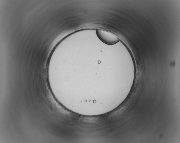 X0000114391053200911131338