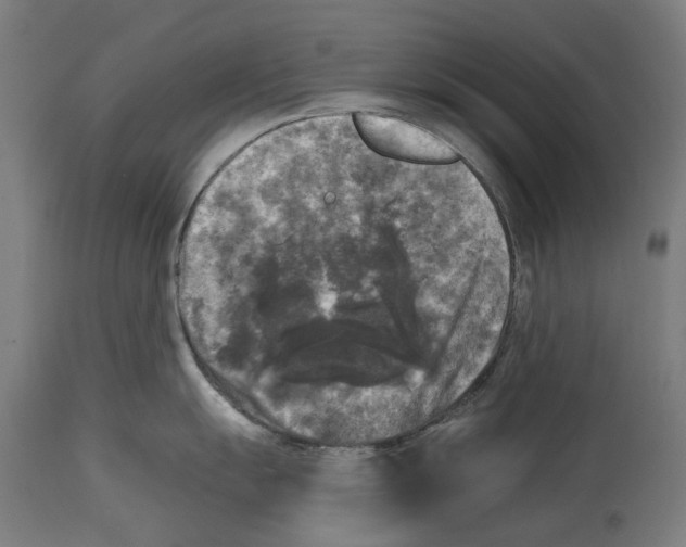 X0000114391055200911131338