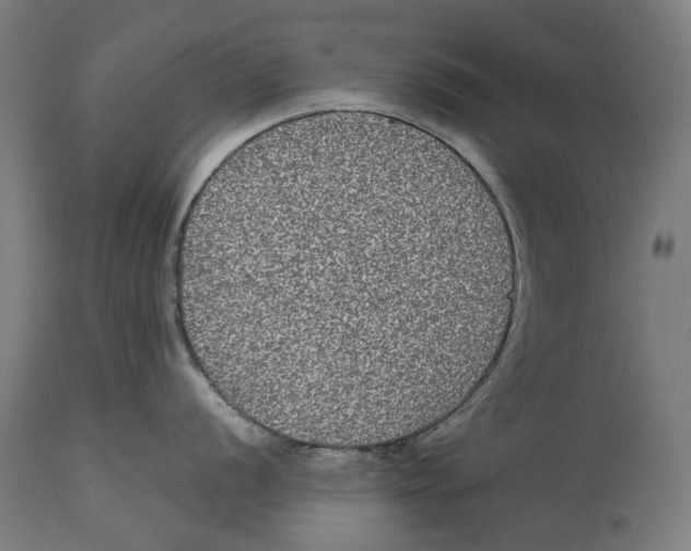 X0000114391056200911131338