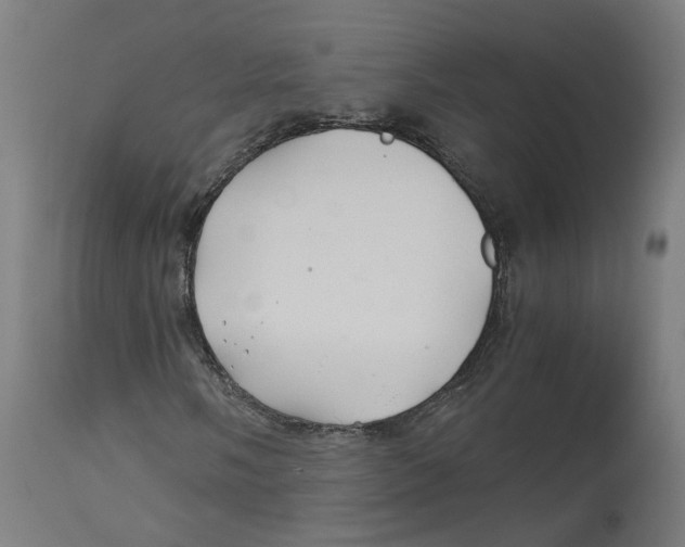 X0000114391058200911131338