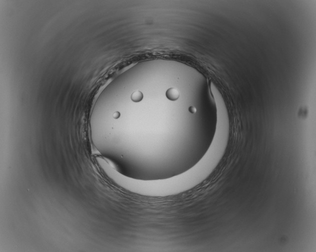 X0000114391060200911131338