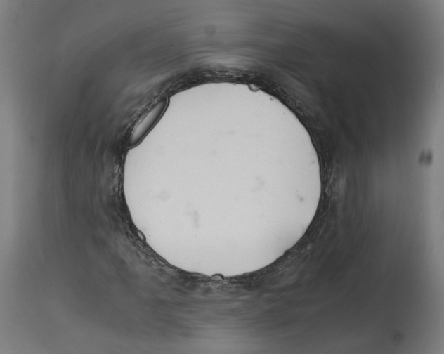 X0000114391061200911131338