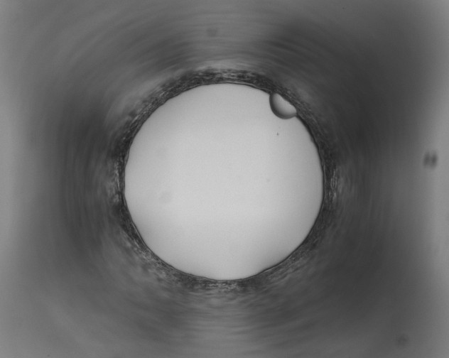 X0000114391062200911131338