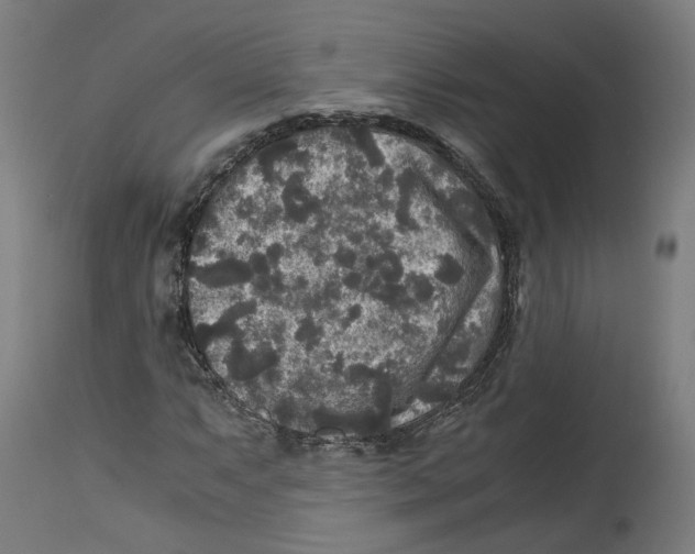 X0000114391063200911131338