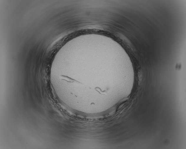 X0000114391064200911131338