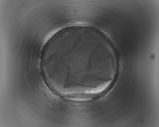 X0000114391066200911131338