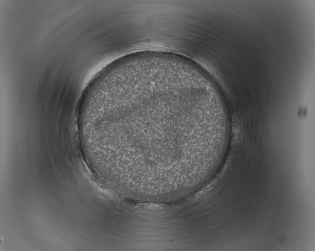 X0000114391070200911131337