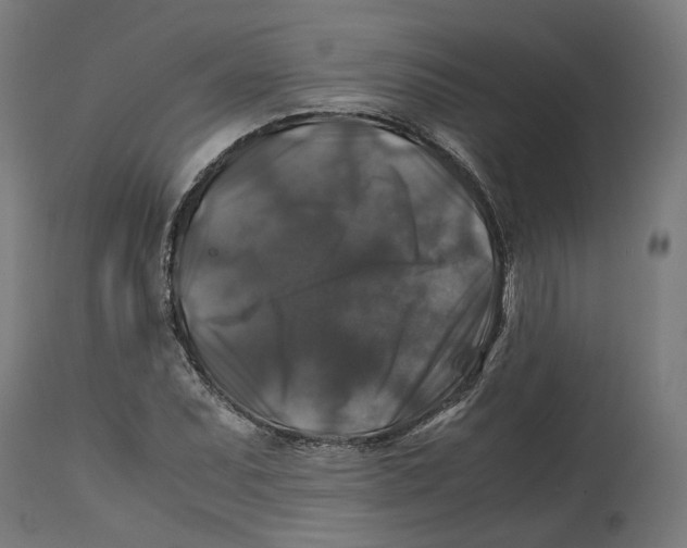 X0000114391071200911131337