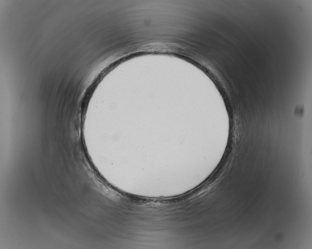 X0000114391075200911131337