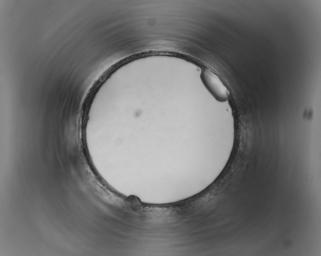 X0000114391076200911131337