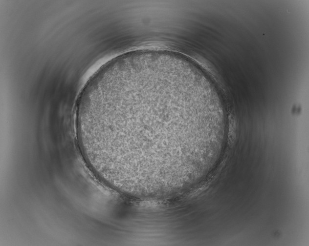 X0000114391078200911131337