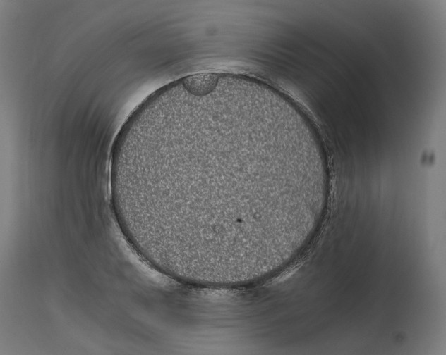 X0000114391079200911131337