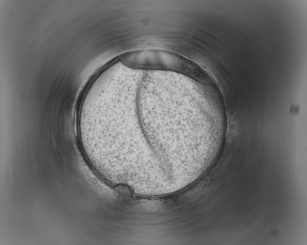 X0000114391080200911131337