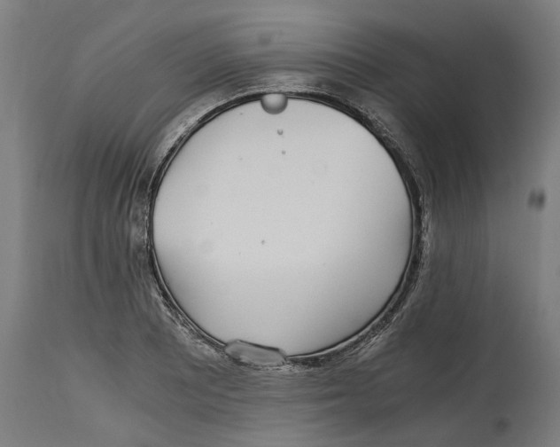 X0000114391081200911131337