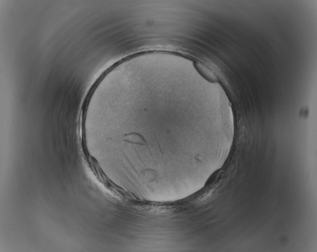 X0000114391084200911131337