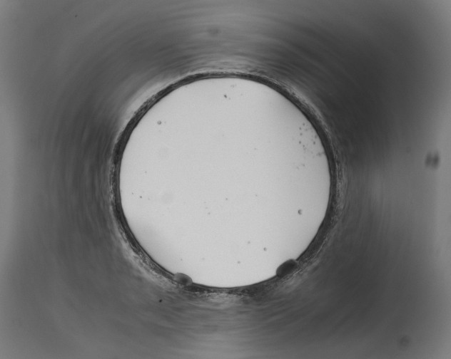 X0000114391085200911131337