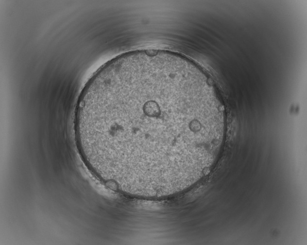 X0000114391086200911131337