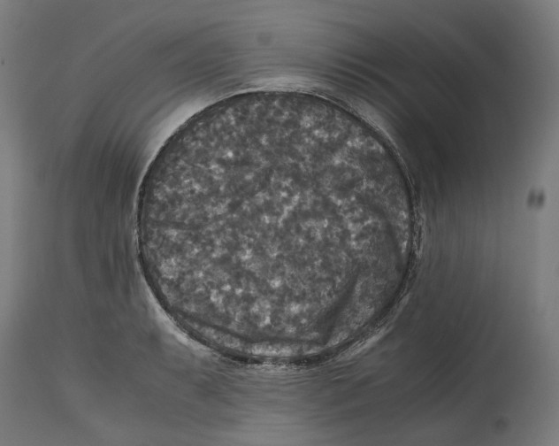 X0000114391087200911131337